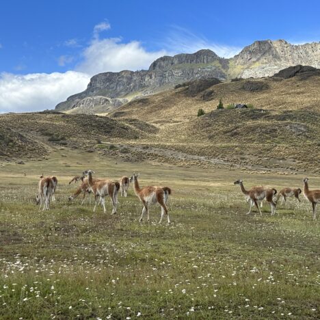 Carretera Austral II., Chile, 12/22-1/23