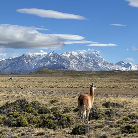 Parque Nacional Perito Moreno, 3/23