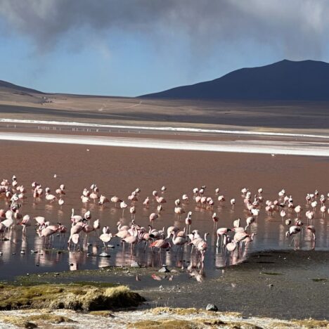 Lagunas Route