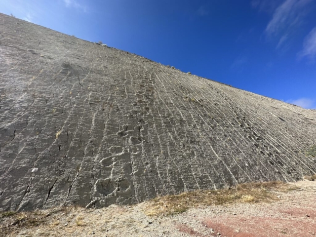 kto vidí stopy?